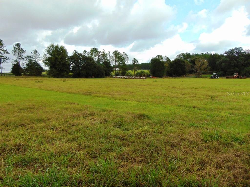 33916  COUNTY ROAD 437  ,SORRENTO,32776